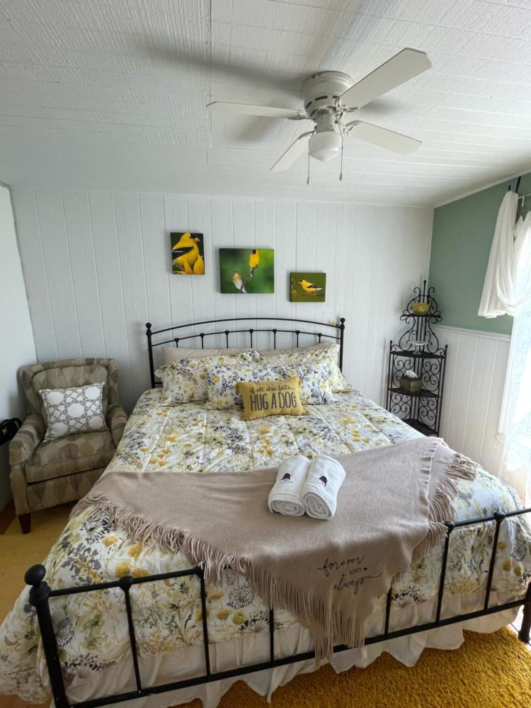 Deluxe King Suite interior